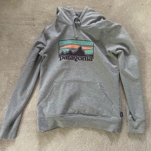Patagonia sweater
